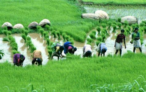 Maha: Battle Between Two Departments Deprive 8 Lakh Farmers of PM Kisan ...