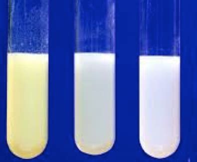 Image result for Soluble Halide Testing