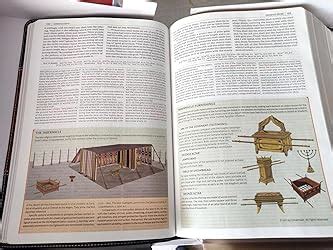 Nkjv Study Bible, Hardcover, Full-Color, Comfort Print : Thomas Nelson ...