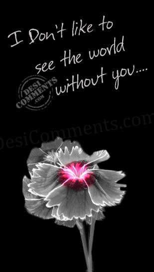 My world is empty without you… - DesiComments.com