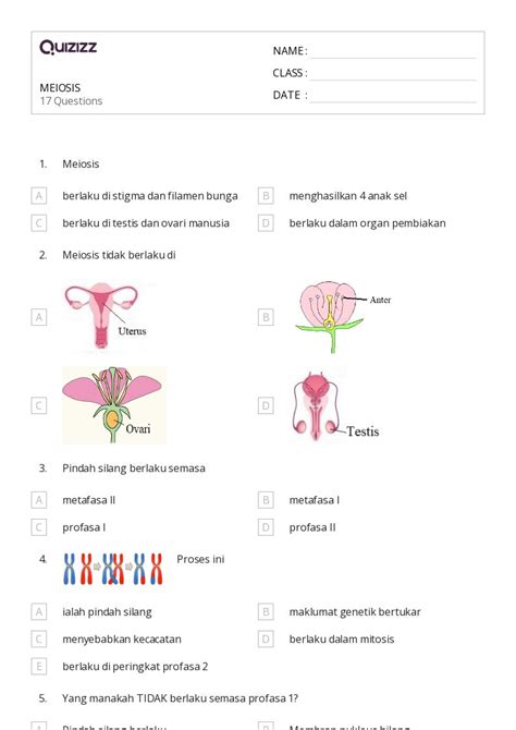50+ meiosis worksheets for 10th Class on Quizizz | Free & Printable