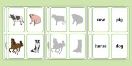 Farm animal flashcards | Twinkl resources