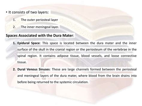 MENINGES OF THE BRAIN DETAIL ABOUT DURA MATER | PPTX