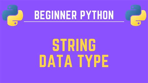 Image result for String Type Python