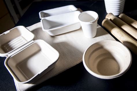 Biodegradable Food Containers 的图像结果