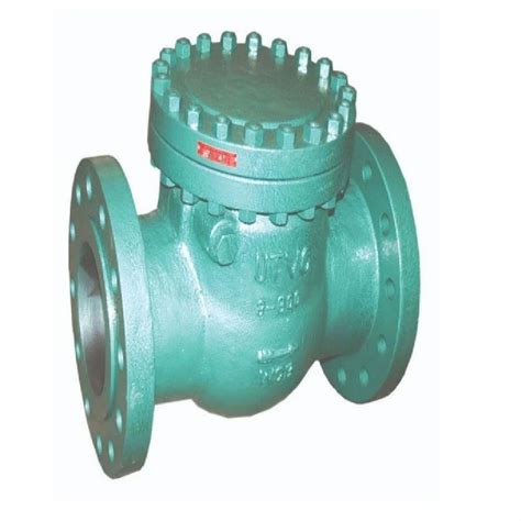 Check Valve - Class 600 Check Valve Manufacturer from Mumbai