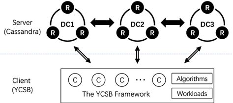 Experiment System 的图像结果