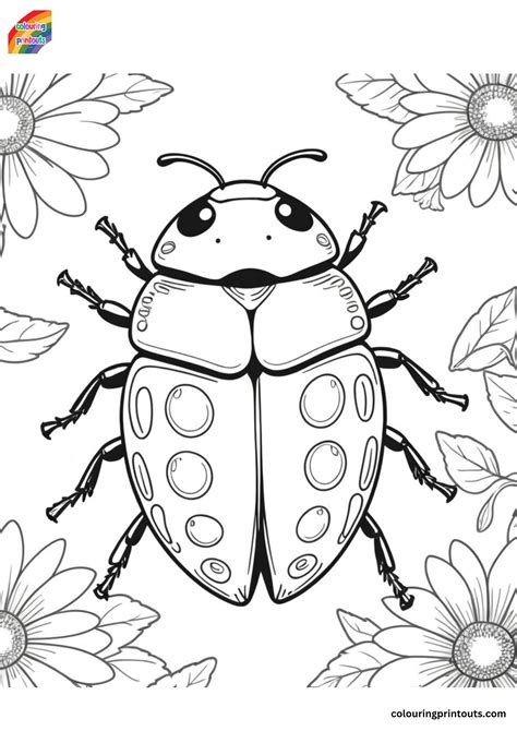 10 + Ladybird Colouring Pages