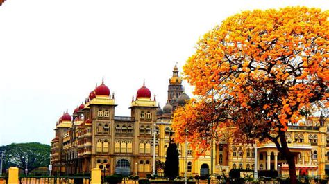 35 Best Places To Visit In Mysore In 2025 (Updated)