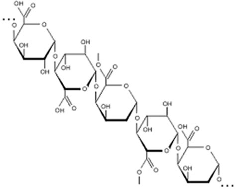 Image result for Pectin Structure