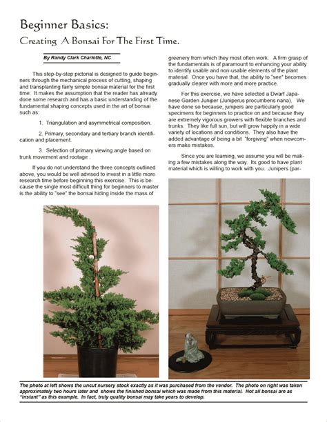 Image result for Bonsai Making Tutorial