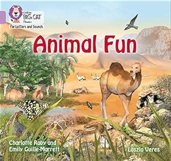 Collins Big Cat Phonics for Letters and Sounds – Animal Fun: Band 00 ...