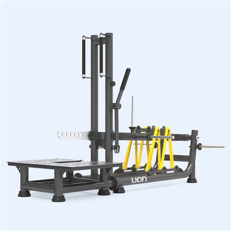 Squat Belt | Lion Fitness