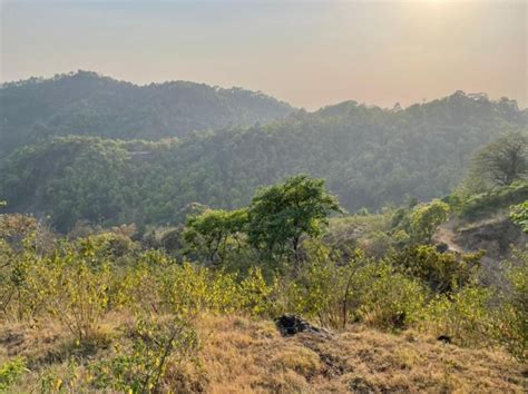 6.21 Acre Agricultural/Farm Land for Sale in Yamkeshwar, Pauri Garhwal ...