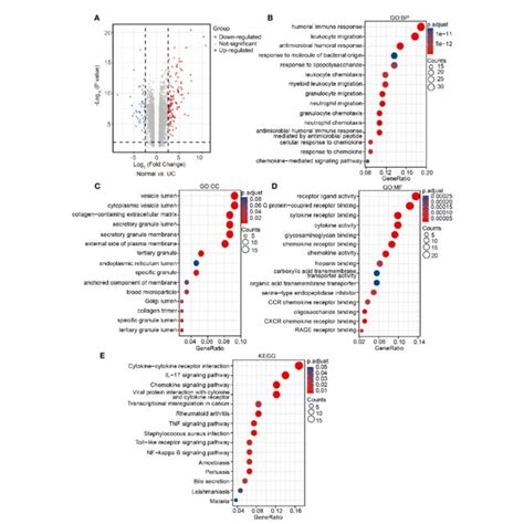 Transcriptome Plot 的图像结果