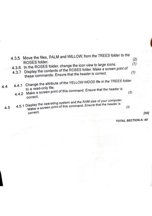Image result for Computer Practice N5 Notes