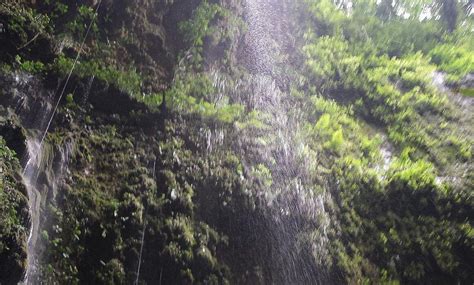 CLARA CAVE (CUEVA CLARA) (2026) All You Need to Know BEFORE You Go ...