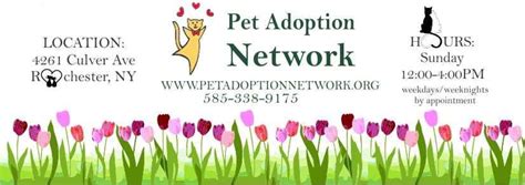 Adoption Center Event, 4261 Culver Rd, Rochester, NY 14622-1215, United ...