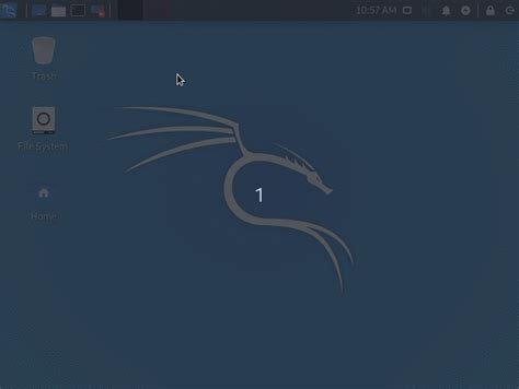 Image result for Best Kali Linux Customization