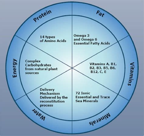 Nutrition 的图像结果