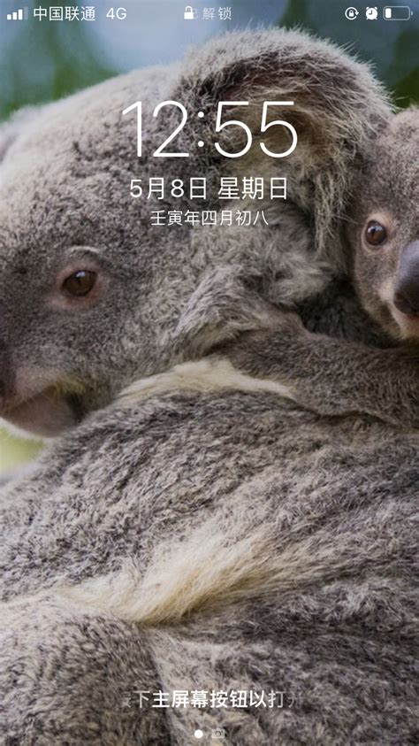 Bing手机壁纸 的图像结果