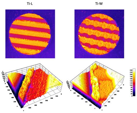 Influence of Nano, Micro, and Macro Topography of Dental Implant ...