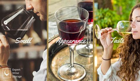 How Long Does Sparkling Wine Last? Opened, Unopened, Does It Expire, G | Expert Wine Storage UK
