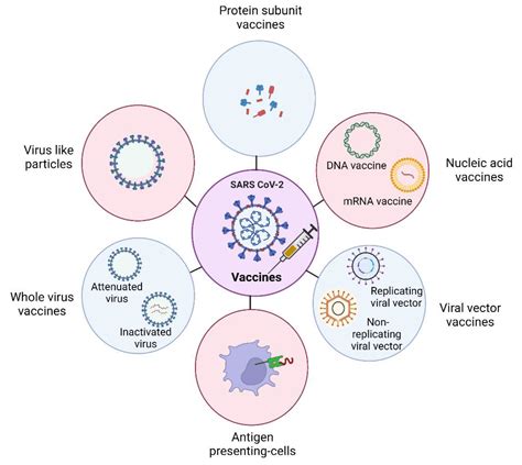 The Vaccine World of COVID-19: India’s Contribution
