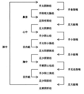 人体十二经络基础入门总结_艾灸穴位_艾灸TOP网