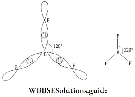 WBCHSE Class 11 Chemistry Notes For Hybridization - Definition, Types ...