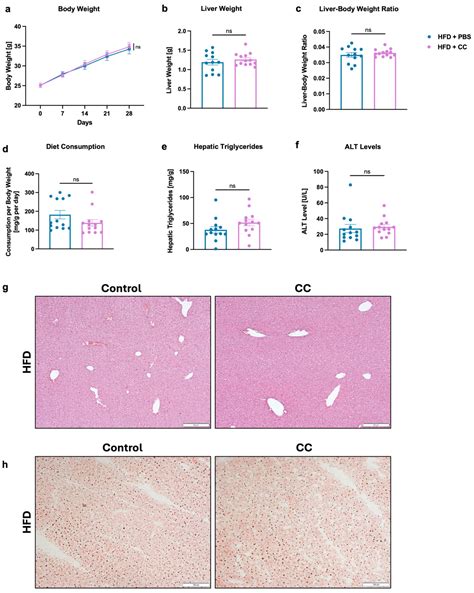 Faecalibacterium prausnitzii Is Associated with Disease Severity in ...