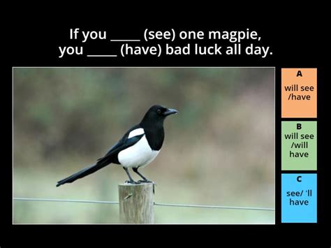 Image result for First Conditional Quiz