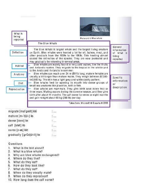 Image result for 5 Report Text Questions