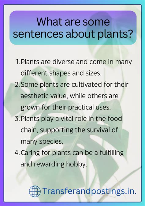 Paragraph On Plants: The Importance Of Plants - Transfer and Postings
