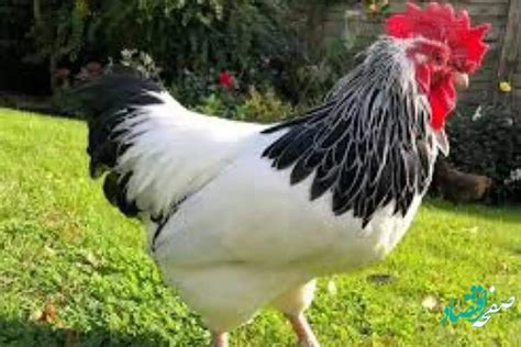 Image result for Online BS Degree in Computer Science