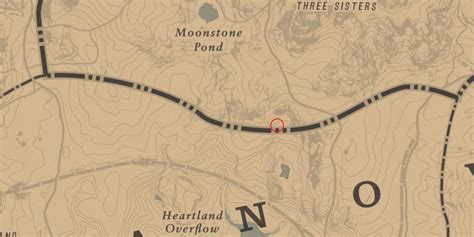 Red Dead Redemption 2 Chicks Treasure Map