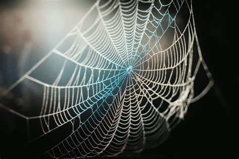 Web Page Python Tutorial 的图像结果
