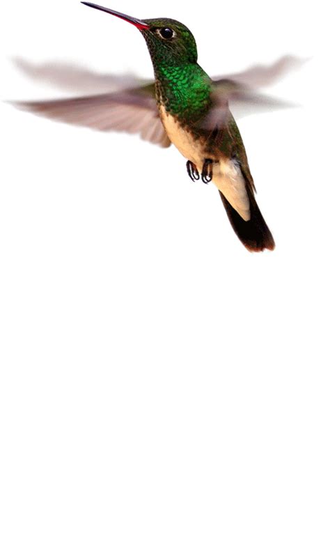 Startupmedia | Engage