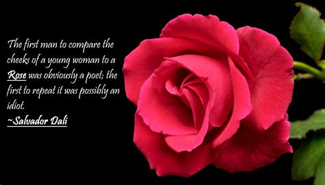 Red Rose Poems And Quotes. QuotesGram