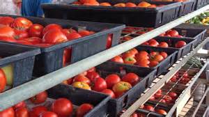 When does the Sioux Falls farmers market start?