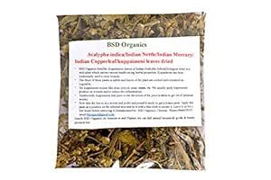 BSDORGANICS Acalypha indica/Indian Nettle/Indian Mercury/Indian ...