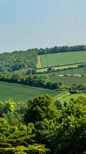 Samsung galaxy s4, s5, note, sony xperia z, z1, z2, z3, htc one, lenovo ...