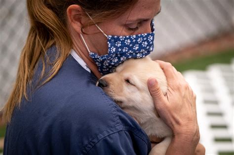 Image result for Guide Dog Trainer