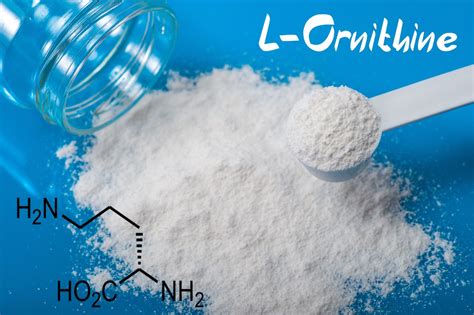 Орнитин (L-ornithine) — описание, инструкция, свойства вещества
