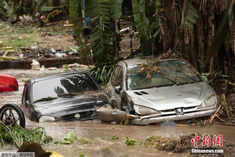 巴西洪灾已致785人死亡 最终人数可能上千(图)_新闻中心_新浪网