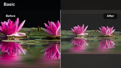 YouTube Video Filters: Best LUTs and Effects for YouTube Creators