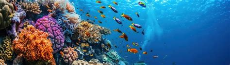 Fish Swimming 的图像结果