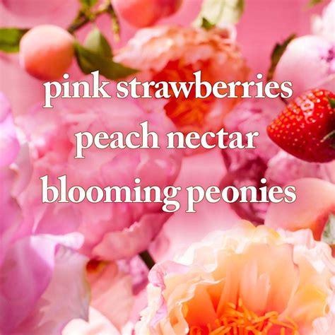 Buy Bath & Body Works Gingham Gorgeous Moisturizing Body Wash Online