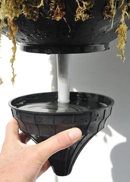 Buy Pair of self-watering hanging baskets: Delivery by Waitrose Garden