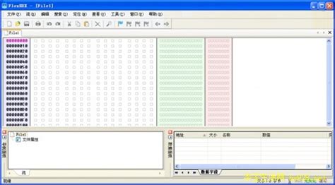 bin文件编辑器 v2.6 中文绿色版简体中文免费版下载-瑞达网,华玉电器
